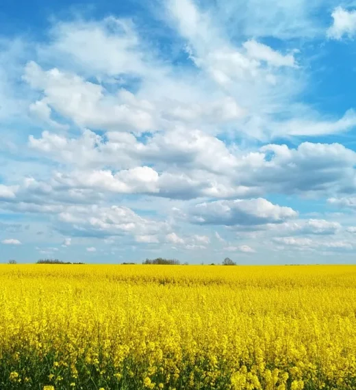 storz-website-gruene-hydraulik-2-jpg